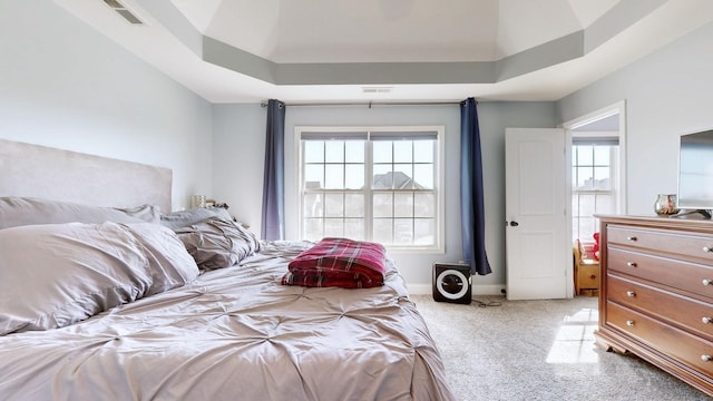 carpeted bedroom with baseboards, visible vents, and a raised ceiling