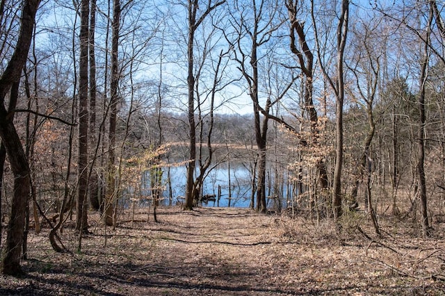 view of water feature featuring a view of trees