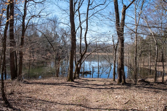 view of water feature with a wooded view