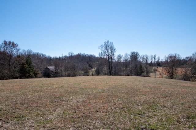 view of yard featuring a view of trees