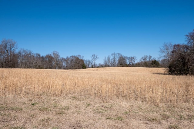 view of landscape featuring a rural view