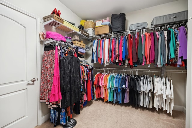 walk in closet featuring carpet