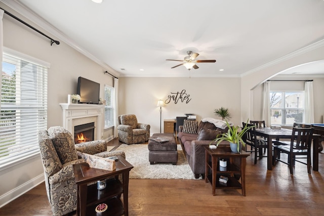 living area featuring a warm lit fireplace, arched walkways, wood finished floors, and crown molding