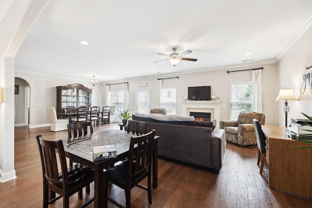 dining room featuring a warm lit fireplace, arched walkways, dark wood finished floors, ceiling fan, and crown molding