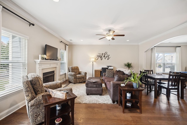 living room featuring crown molding, a fireplace, arched walkways, and wood finished floors