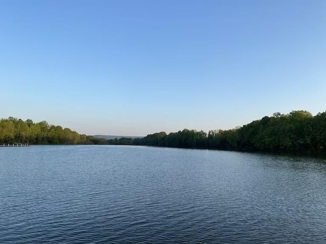 view of water feature with a wooded view