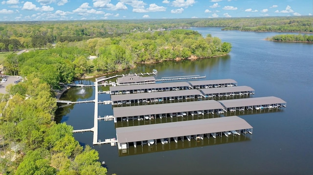 birds eye view of property with a water view and a view of trees