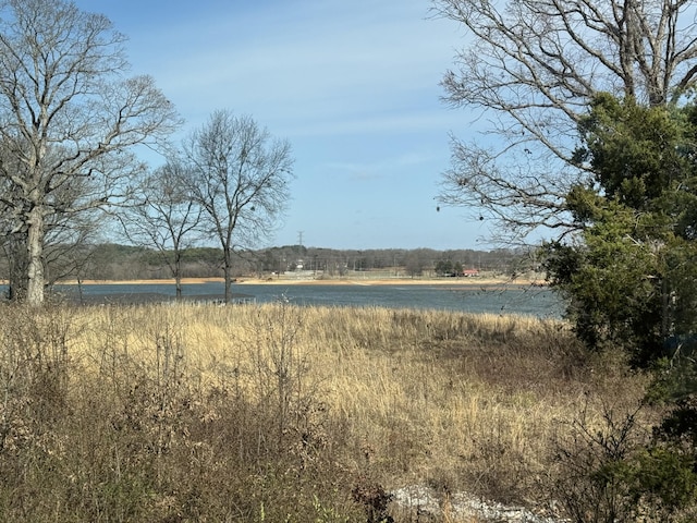 water view with a rural view