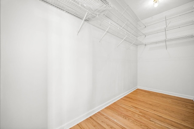 walk in closet featuring light wood-style floors