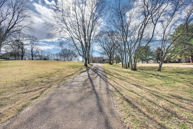 view of road featuring aphalt driveway