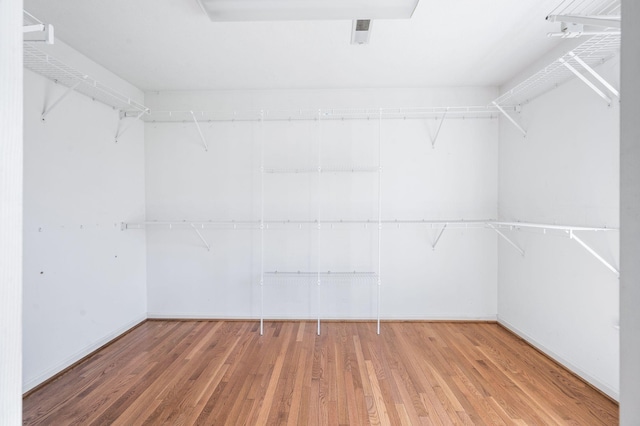 walk in closet featuring wood finished floors