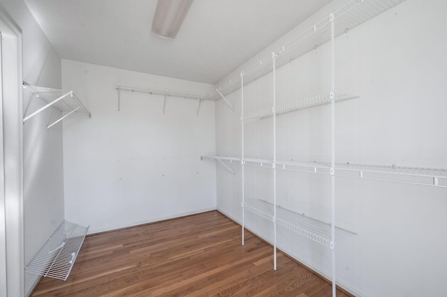 spacious closet featuring wood finished floors