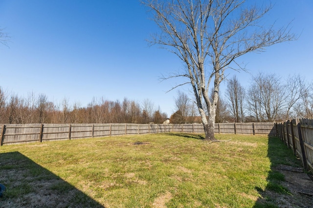 view of yard with a fenced backyard