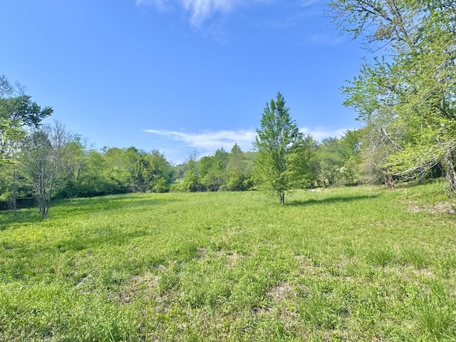253 Heavenlee Ln, Dayton, TN 37321 - photo 15