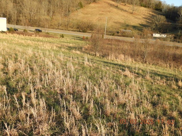 0 Pulaski Hwy, Frankewing TN, 38459 land for sale