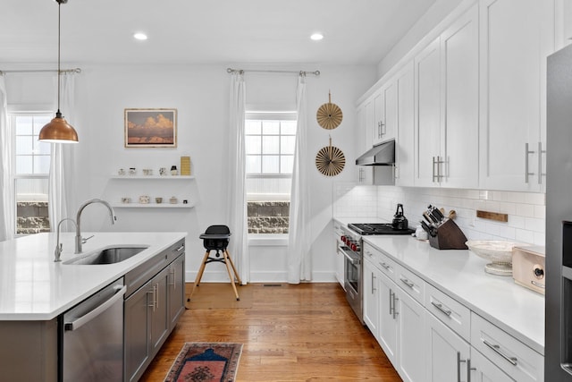 kitchen with light wood finished floors, decorative backsplash, appliances with stainless steel finishes, a sink, and under cabinet range hood