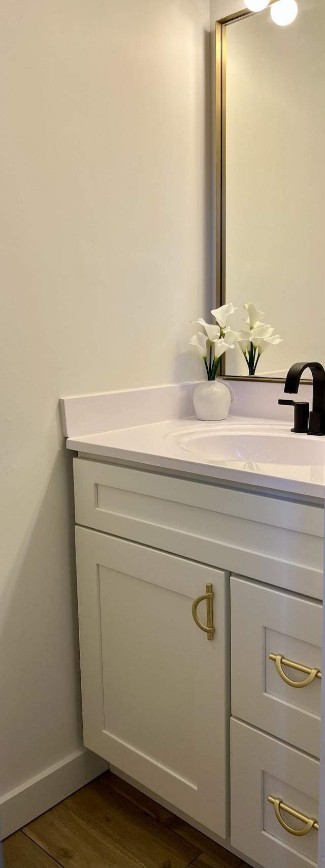 bathroom featuring wood finished floors and vanity