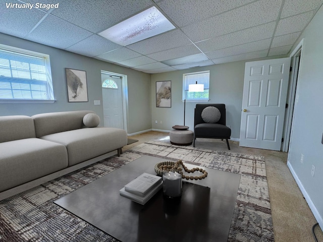 carpeted living area with plenty of natural light, a drop ceiling, and baseboards