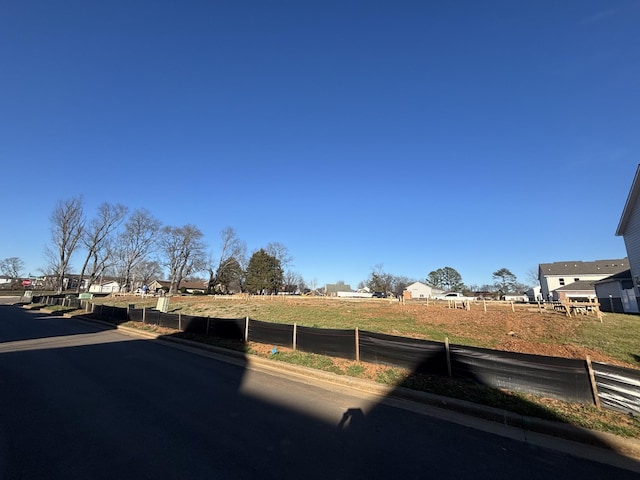 view of street with curbs