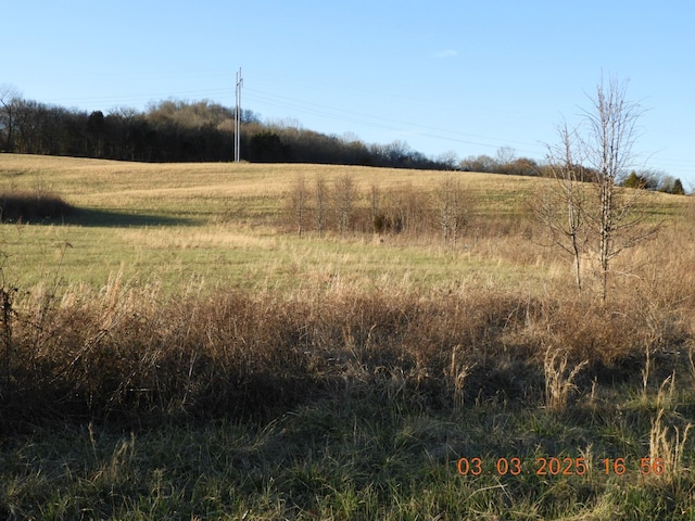 0 Pulaski Hwy, Frankewing TN, 38459 land for sale