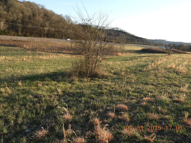 Listing photo 2 for 0 Pulaski Hwy, Frankewing TN 38459