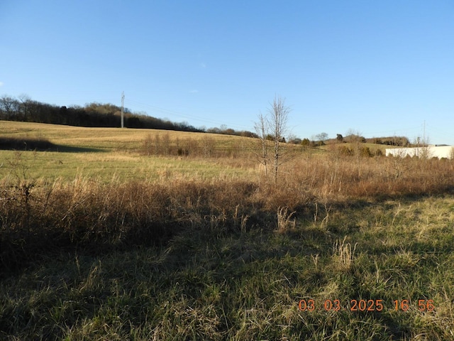 Listing photo 3 for 0 Pulaski Hwy, Frankewing TN 38459