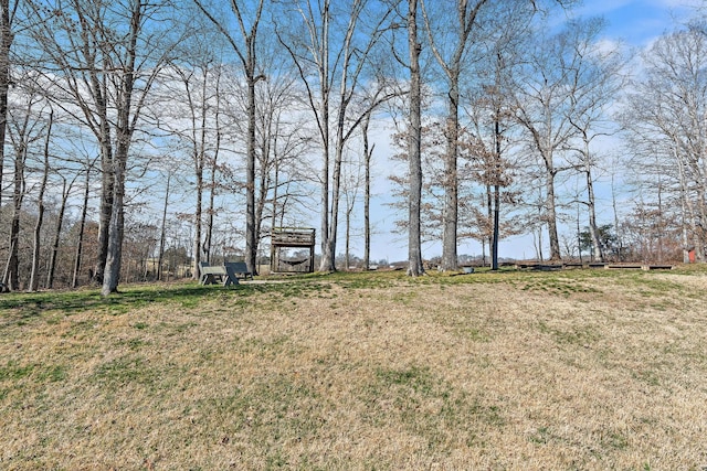 view of yard featuring a carport