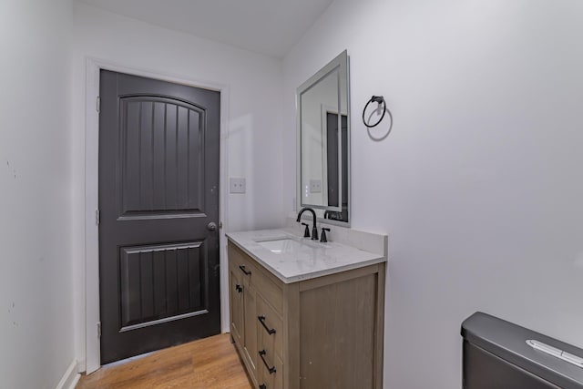 bathroom featuring wood finished floors and vanity