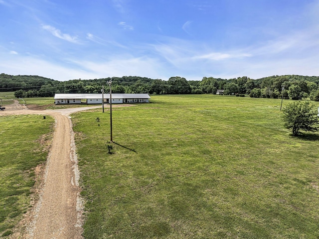 view of yard featuring driveway, a rural view, and a detached garage