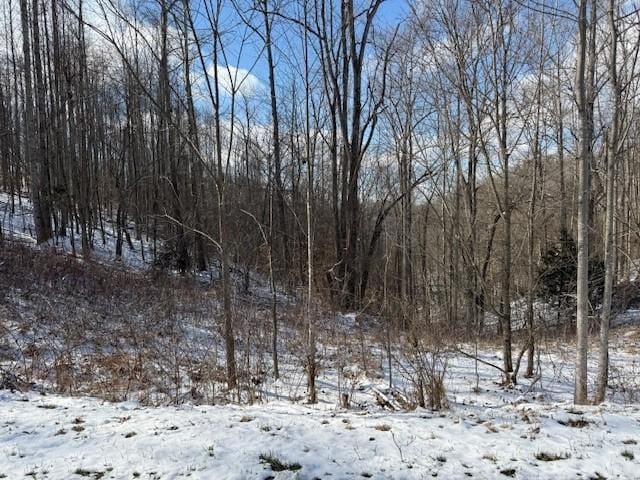 Listing photo 2 for 0 Bryant Ridge Rd, Baxter TN 38544