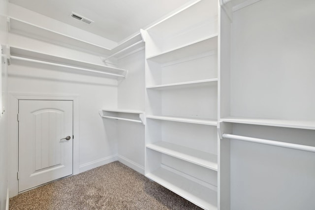 1012 Irish Way, Spring Hill, TN 37174 - walk in closet with carpet flooring