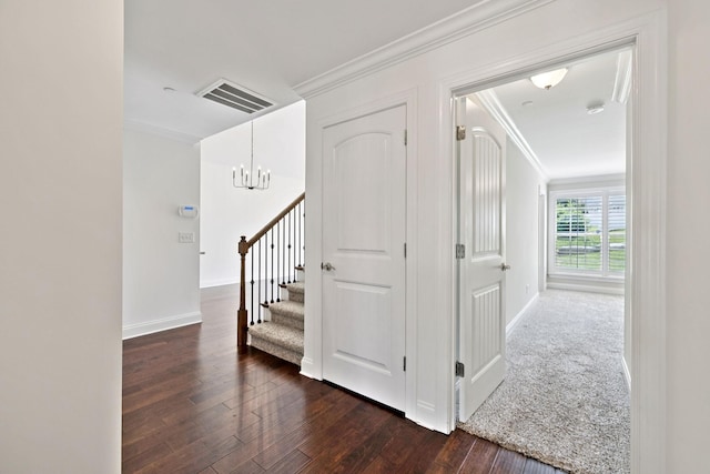 1012 Irish Way, Spring Hill, TN 37174 - hallway with crown molding, a chandelier, dark wood finished floors, baseboards, and stairs