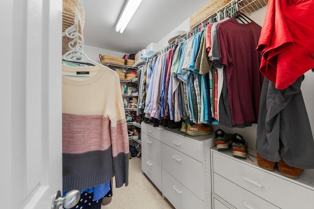 walk in closet with light colored carpet