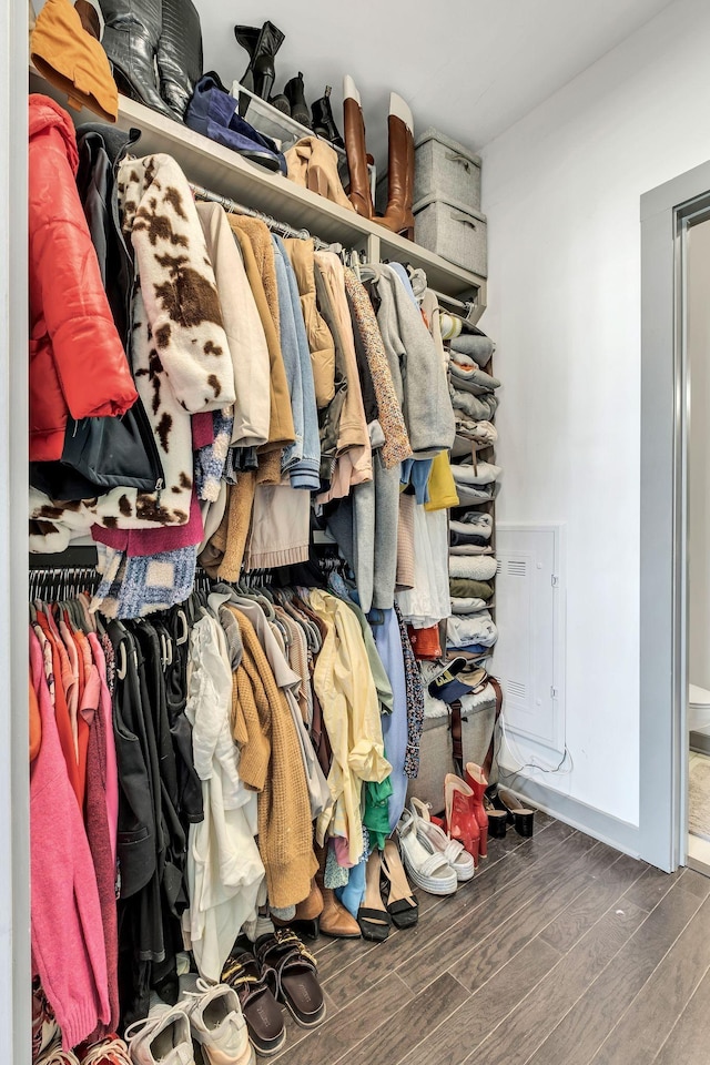 spacious closet featuring wood finished floors