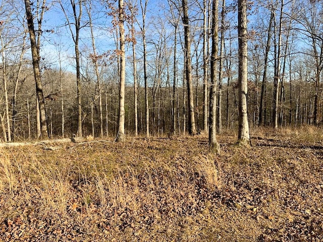 0 Havenwood Rd, Mc Ewen TN, 37101 land for sale