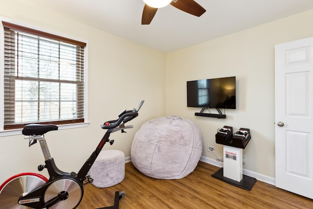 exercise area featuring ceiling fan, baseboards, and wood finished floors