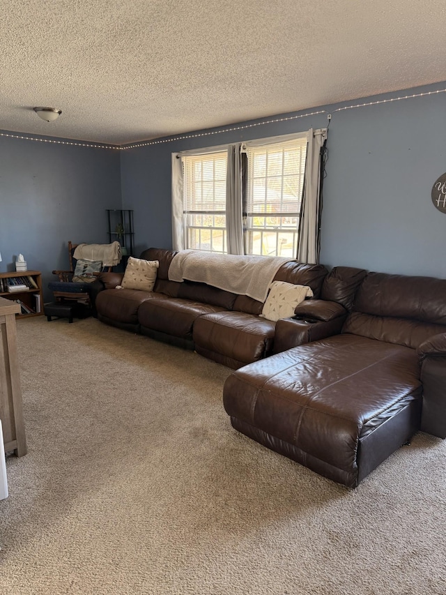 carpeted living area featuring a textured ceiling