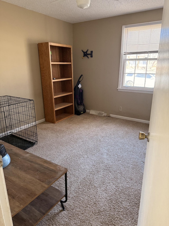 interior space with a textured ceiling, carpet flooring, and baseboards