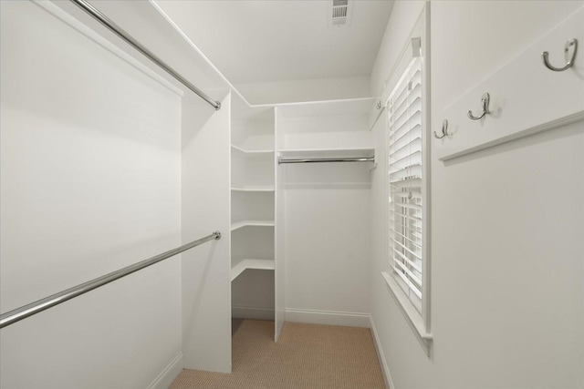 spacious closet featuring carpet floors and visible vents