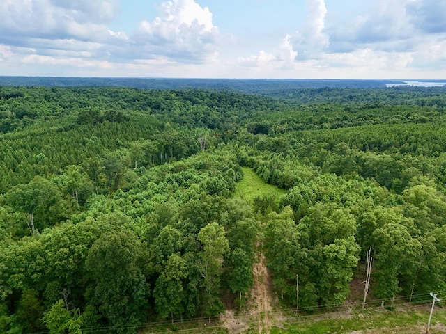 0 Wanut Grove Rd, Dover, TN 37058 - photo 6