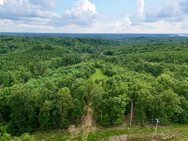 0 Wanut Grove Rd, Dover, TN 37058 - photo 4