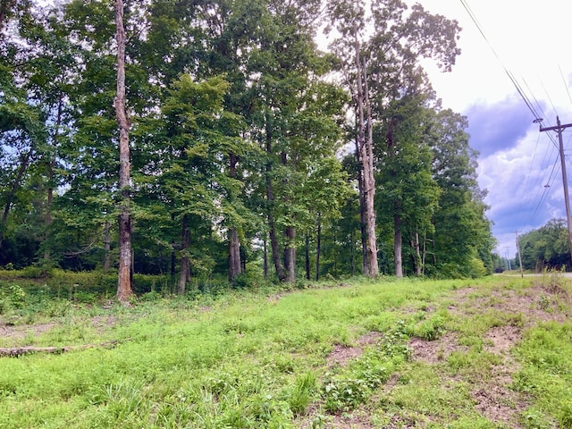 0 Wanut Grove Rd, Dover, TN 37058 - photo 28