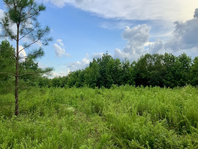 0 Wanut Grove Rd, Dover, TN 37058 - photo 5
