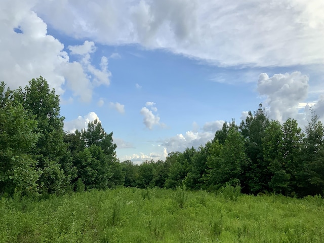 0 Wanut Grove Rd, Dover, TN 37058 - photo 7