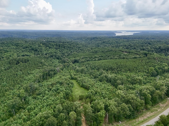 0 Wanut Grove Rd, Dover, TN 37058 - photo 8