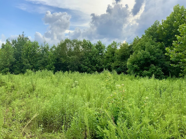 0 Wanut Grove Rd, Dover, TN 37058 - photo 3