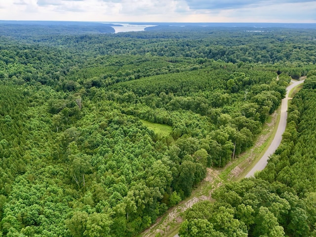 0 Wanut Grove Rd, Dover, TN 37058 - photo 9