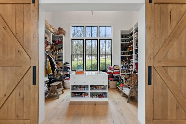 spacious closet featuring light wood-type flooring and a barn door