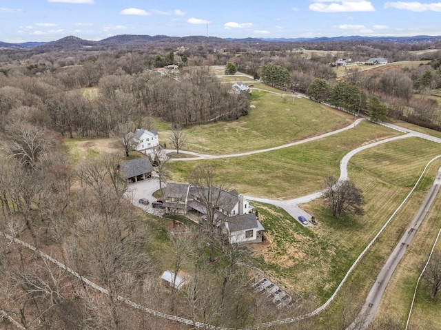 birds eye view of property featuring a rural view and a mountain view