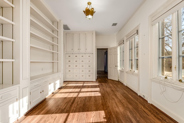 interior space featuring dark wood-type flooring and visible vents